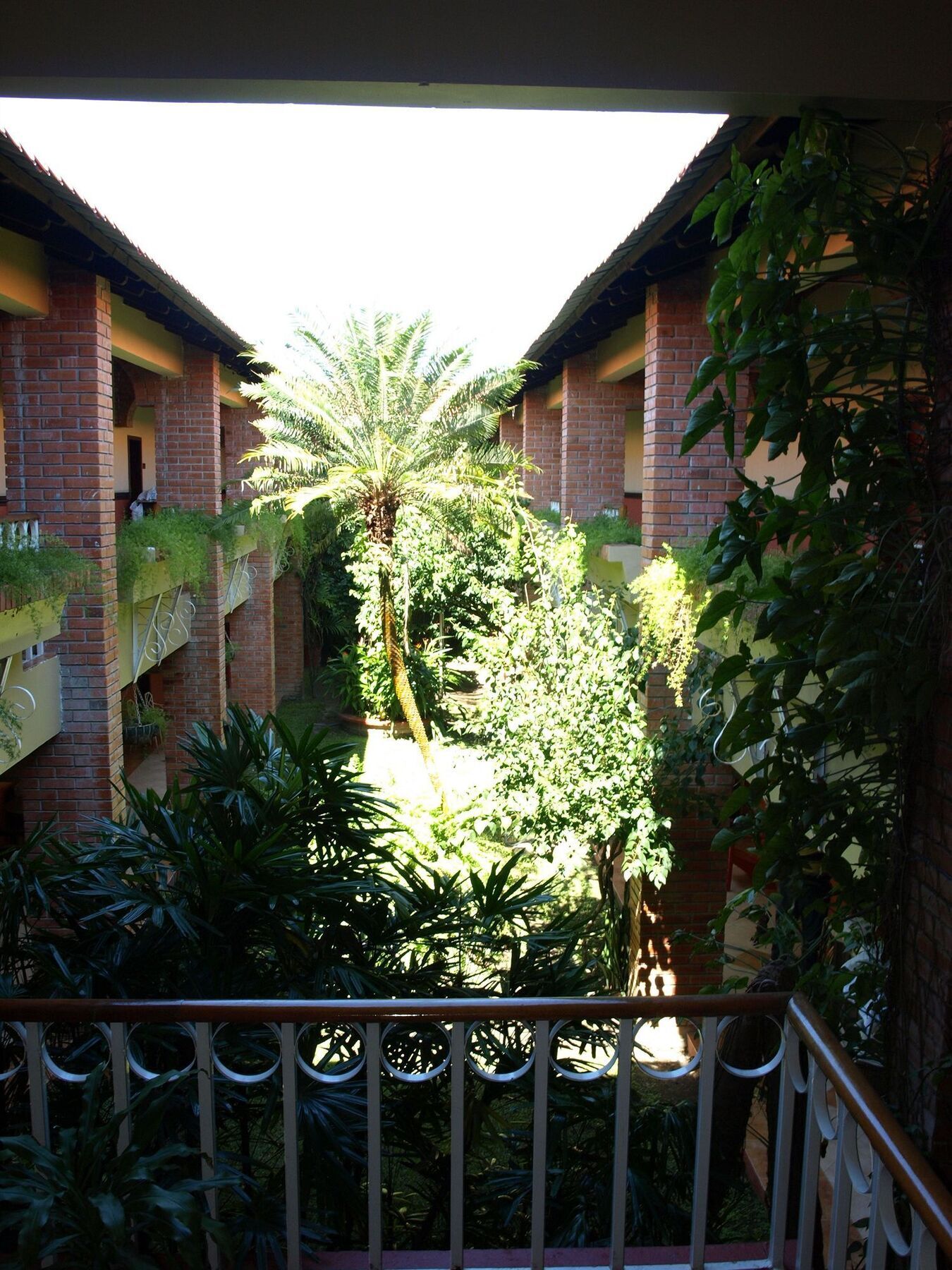 Hotel La Quinta La Ceiba Exteriör bild